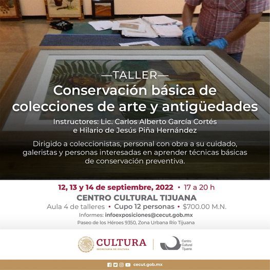 Taller de Conservación básica de colecciones de arte y antigüedades