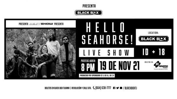 Hello Seahorse!