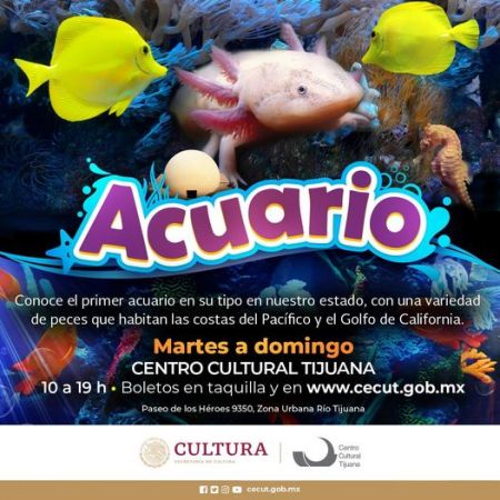 Acuario del Cecut