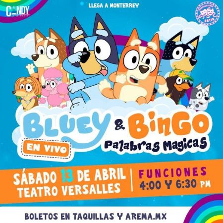 Bluey & Bingo