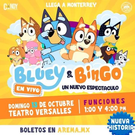 Bluey & Bingo