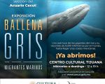 Exhibition: "Gray Whale"