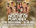 Noche de Puro Box en Mérida