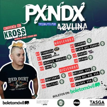 Tribute to PXNDX | AzulinA Band