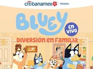 Bluey Live