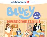 Bluey en Vivo