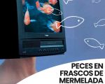 Espectáculo "Peces en frascos de mermelada"