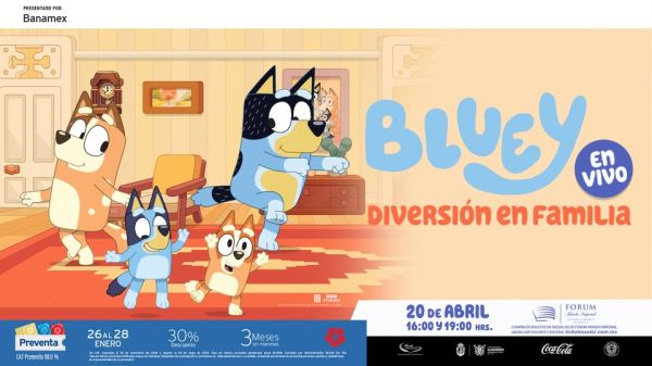 Bluey Live: Family Fun