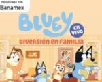 Bluey en vivo: Diversión en familia