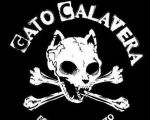 gato calavera